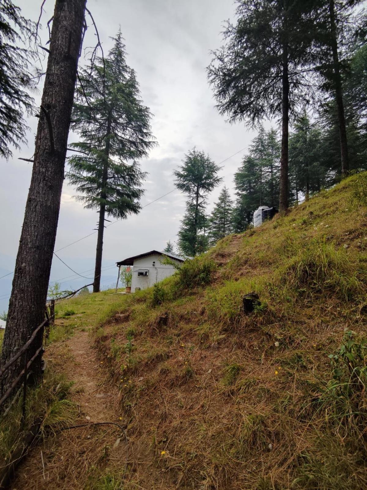 Little Himalayan Abode Villa Almora Eksteriør billede